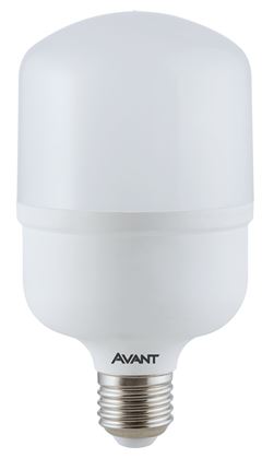 LAMP AVANT BULBO LED 30W BR6500K BIV E27